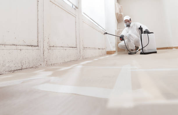 24/7 Emergency Mold Remediation experts in Friendsville, MD